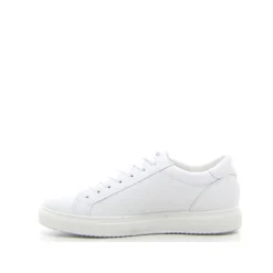 Uomo IGIu0026CO Sneakers<Sneaker IGI&CO