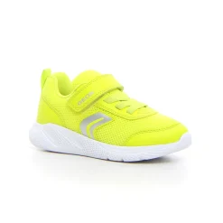 Bambino GEOX Sneakers<Sprintye sneaker bambino