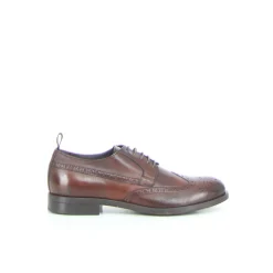 Uomo PAYO Stringate<Stringata stile inglese